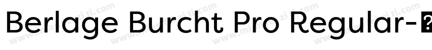 Berlage Burcht Pro Regular字体转换